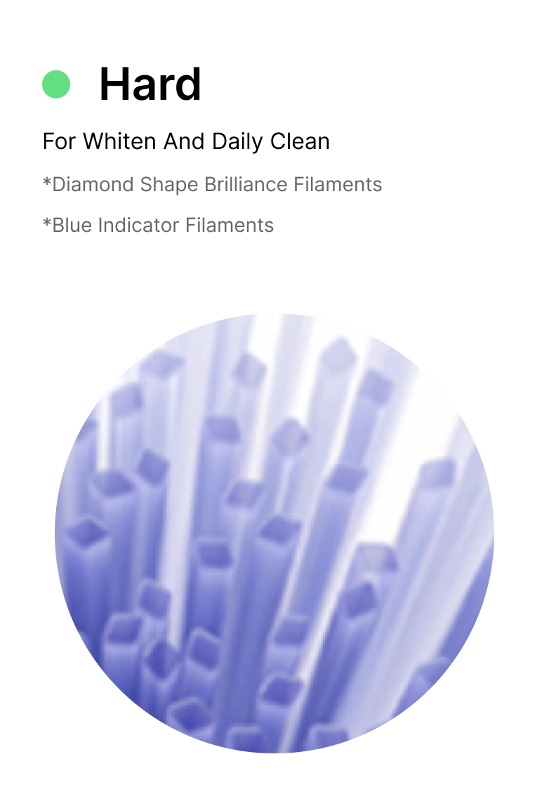 Multiple brush heads for different needs